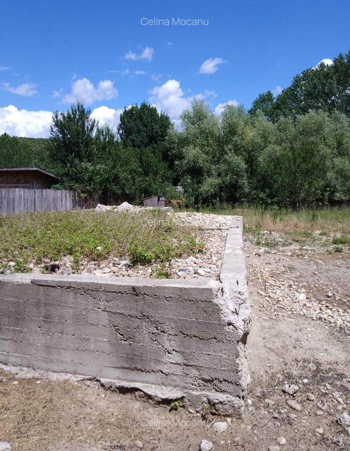 Teren intravilan 1570 mp in sat Magura (Hulubesti), Dambovita, deschidere 31ml - 4