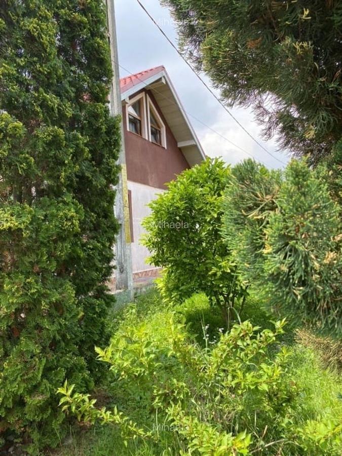 Casă spațioasă cu garaj și foișor - 4 Casă spațioasă cu garaj și foișor - 4