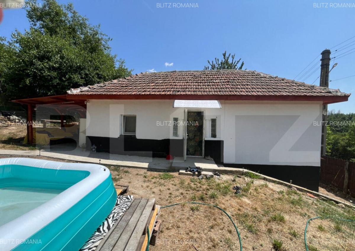 Casa renovata Varvoru de Sus, 30 mpu, 1000 mp curte. - 13