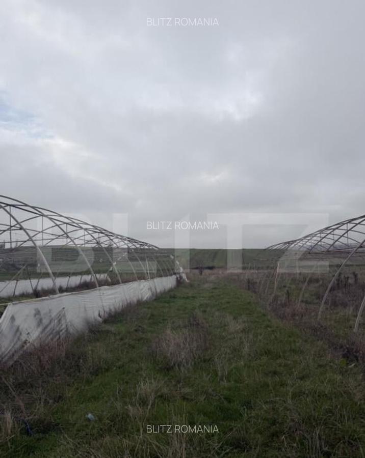 Teren intravilan agricol, sere, anexa agricola, 11500 mp ter - 11