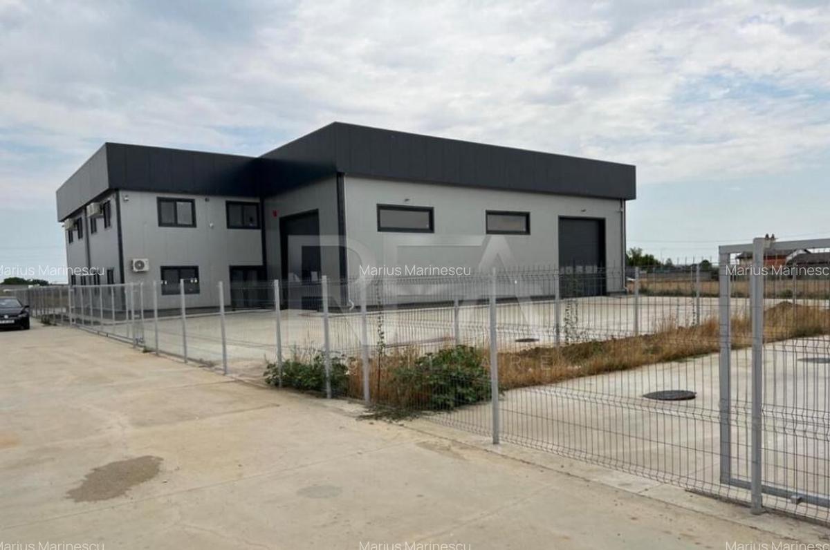 Hala de inchiriat in Domnesti / Centura - 3