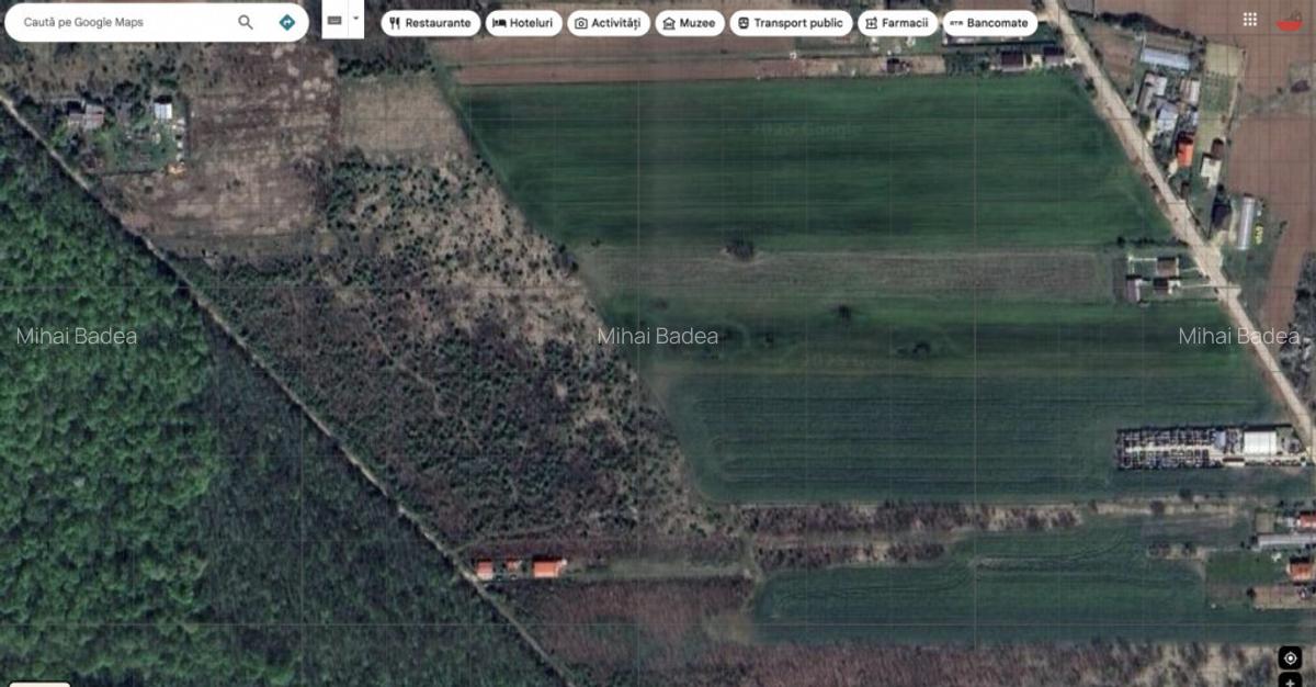 `Teren cu dubla deschidere, langa padure, Snagov - Strada Pa - 9