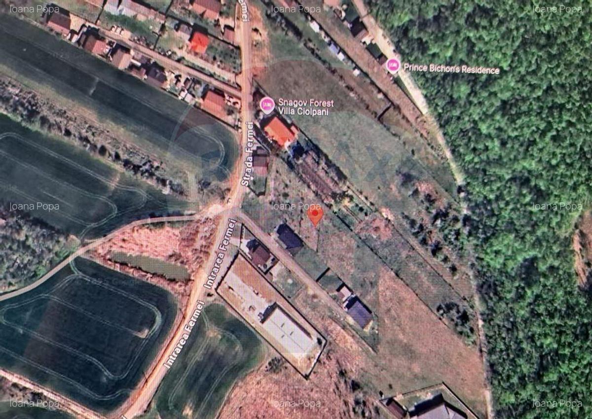 Lot teren 450 mp langa padure Ciolpani Fermei - 3