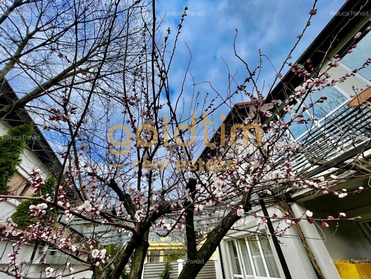 IANCU NICOLAE/ GRADINA SUPERBA/LOCURI DE PARCARE/SPATII GENEROASE - 43