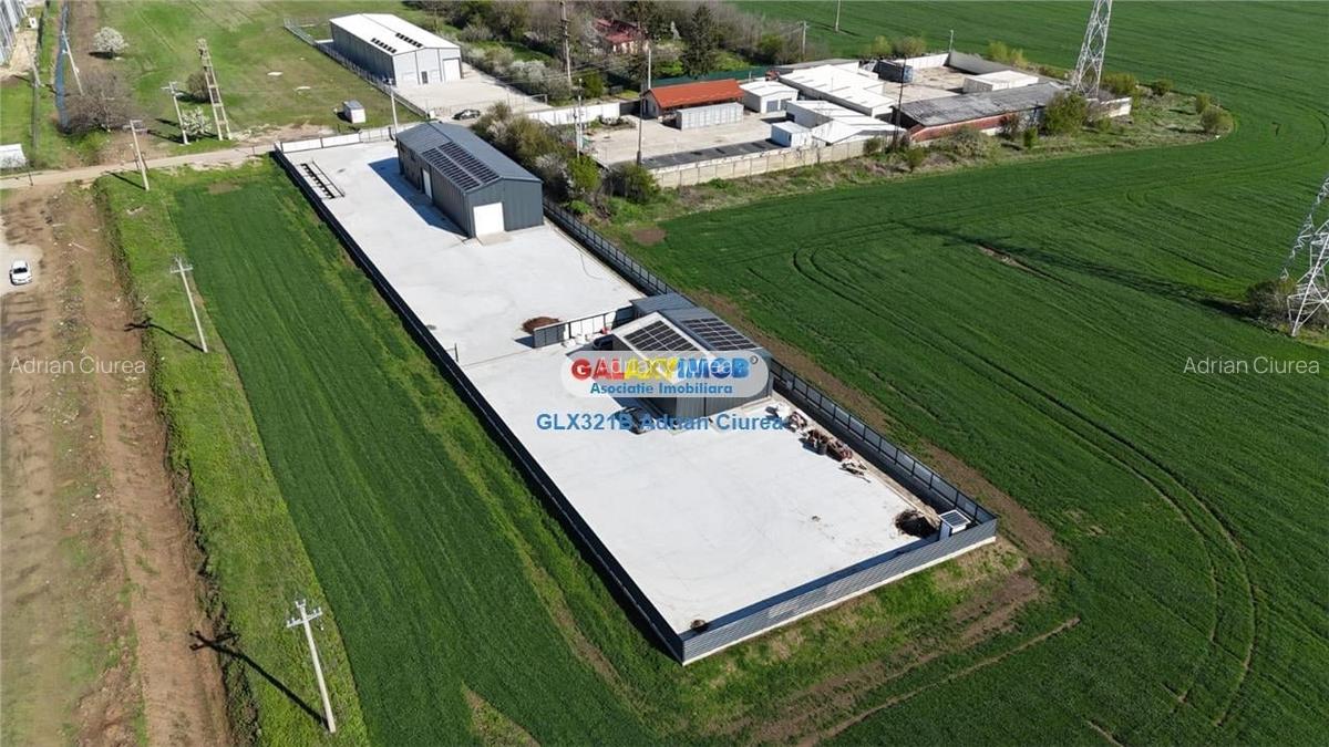 Hala Depozitare | 355mp | Panouri 27kw | Platforma betonata 1300mp - 5