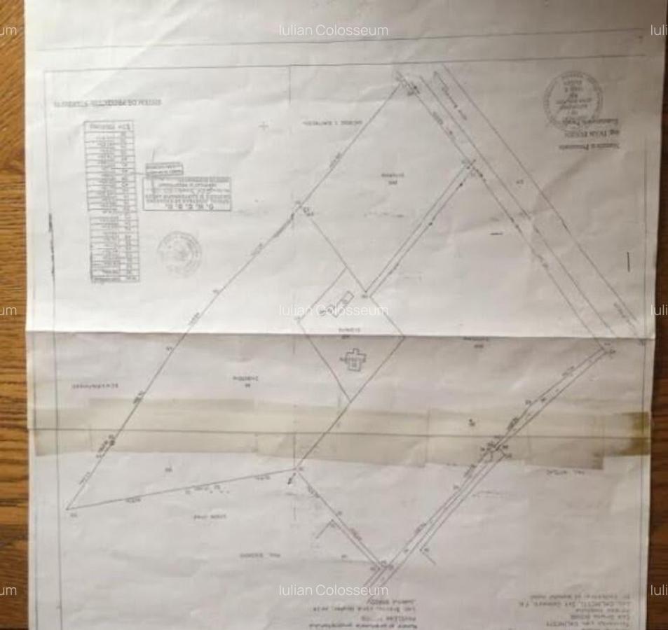 Teren de vanzre in Pitesti 53.000 mp + Conac Boieresc - 9