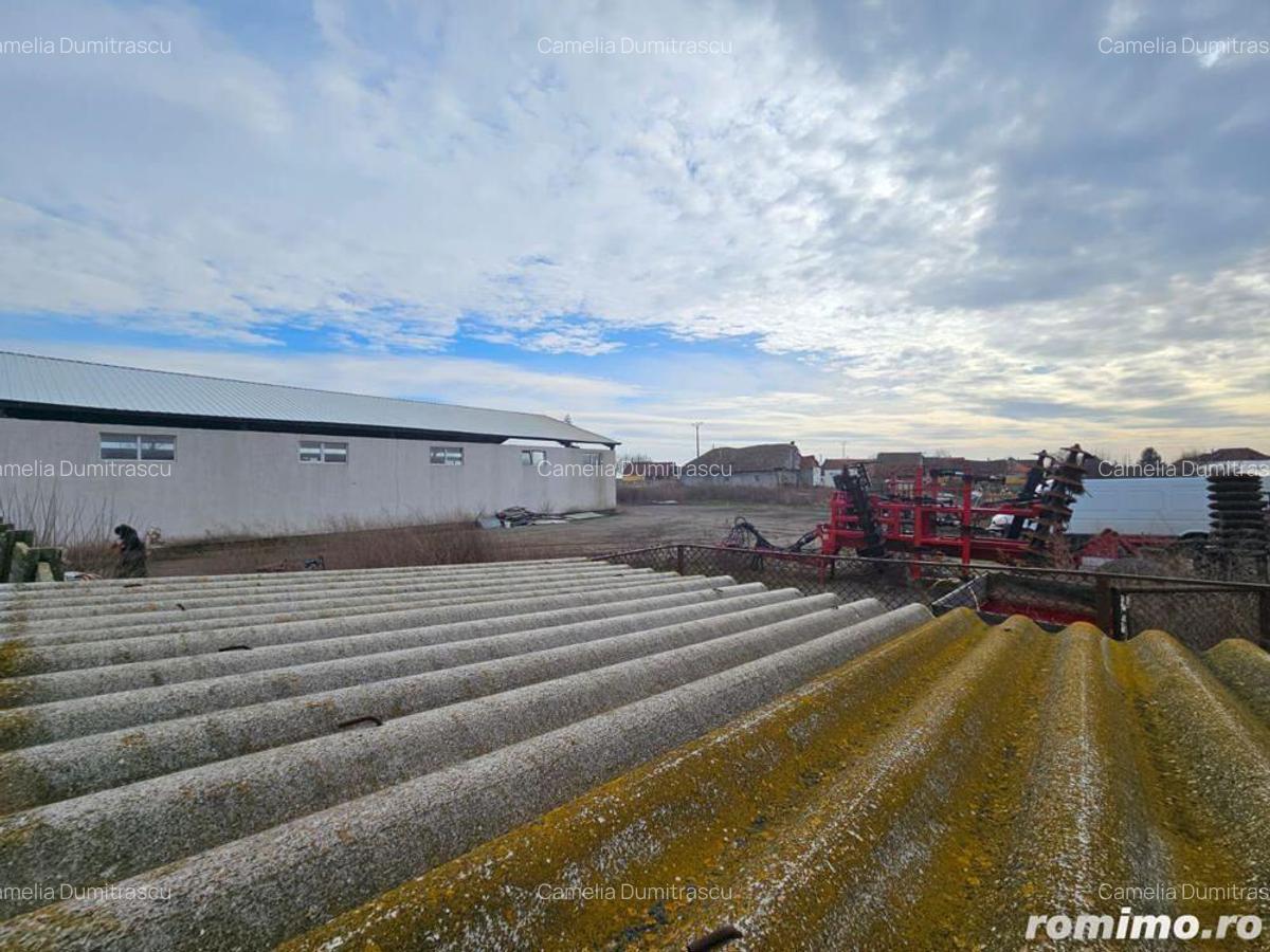 Gotlob hala utilaje casa p+m teren 2507 mp - 1