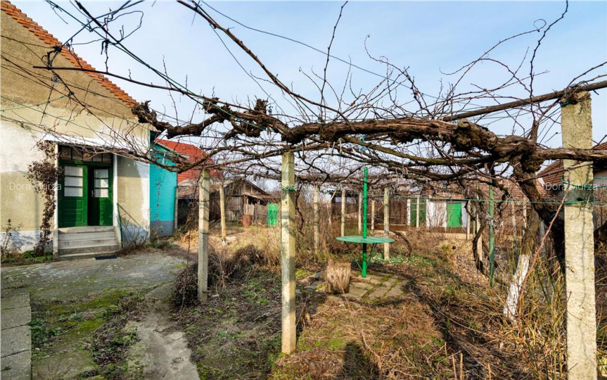 RECO Casa cu teren 3036mp, Bors - 16