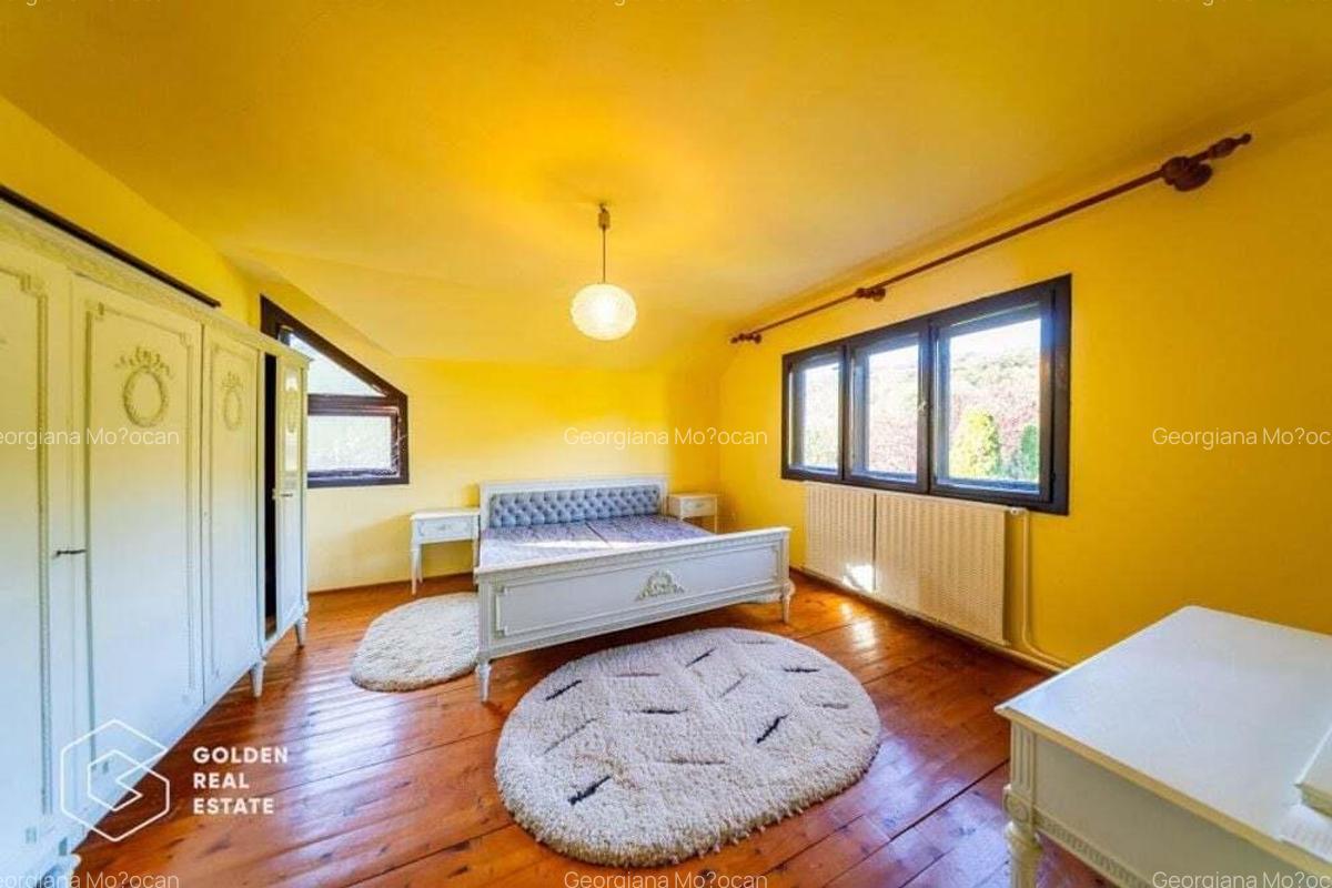 Casa de vacanta, localitatea Cladova, ideal pozitionata - 13
