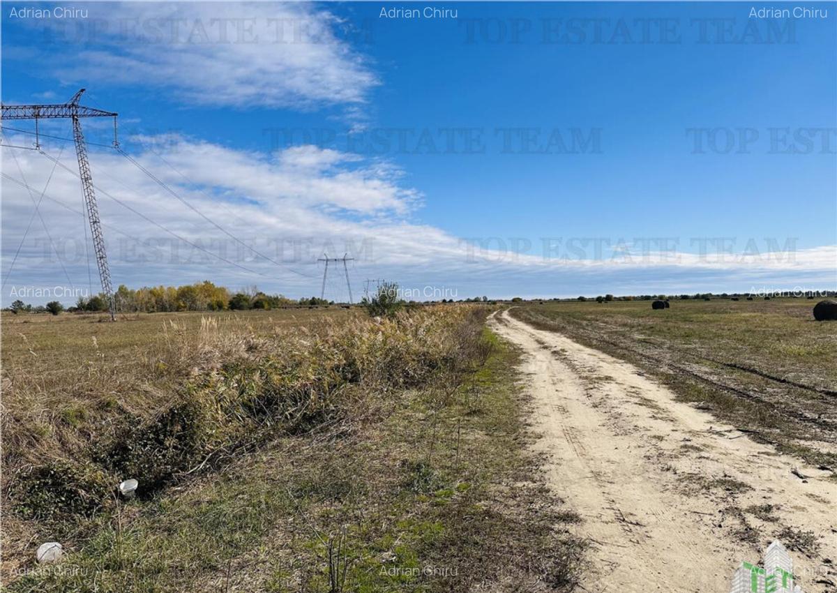 Teren 30 hectare, 500 m deschidere la A1, langa Bolentin Val - 14