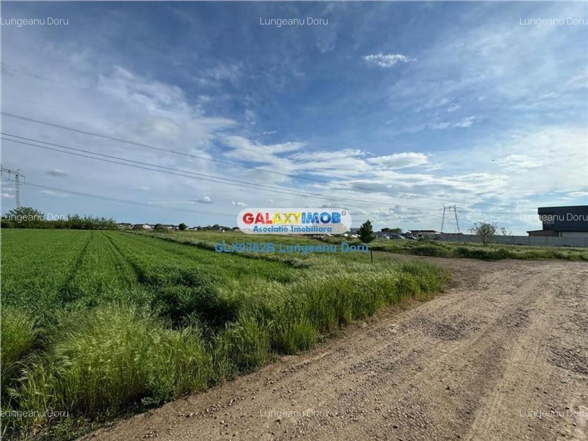 Teren intravilan 1622mp, Lidl Berceni, Utilitati Gaz Electric, 50E mp - 7