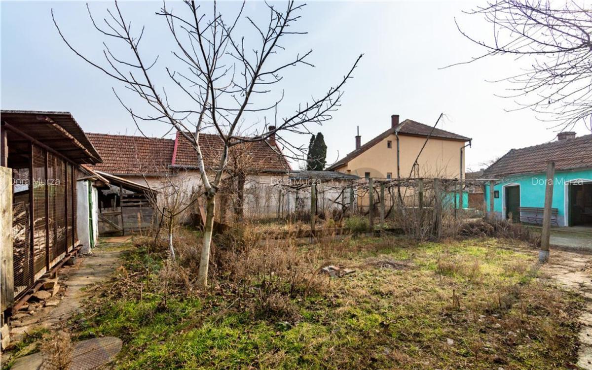 RECO Casa cu teren 3036mp, Bors - 14