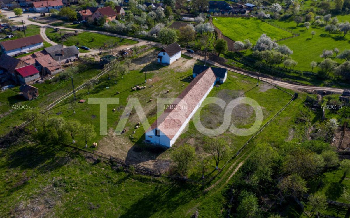 Microferma cu locuinta de vanzare in Pianu de sus - 15