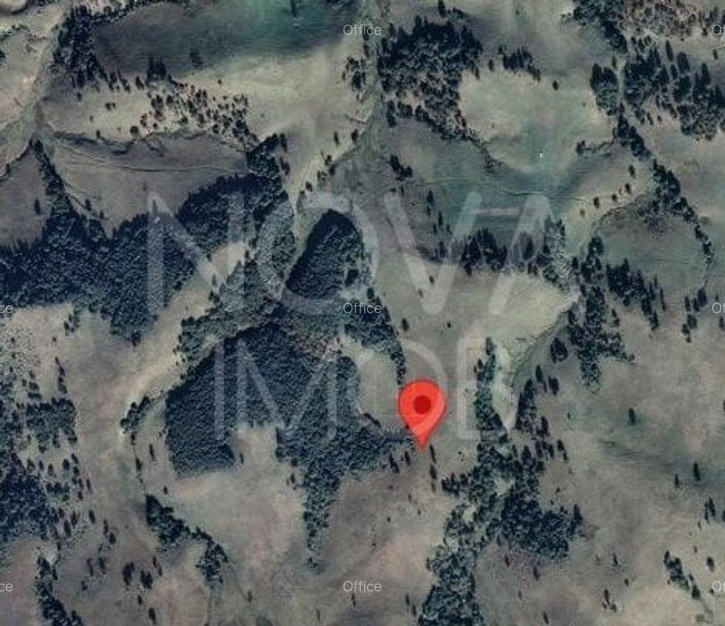 Teren extravilan de vanzare - Crint - 2