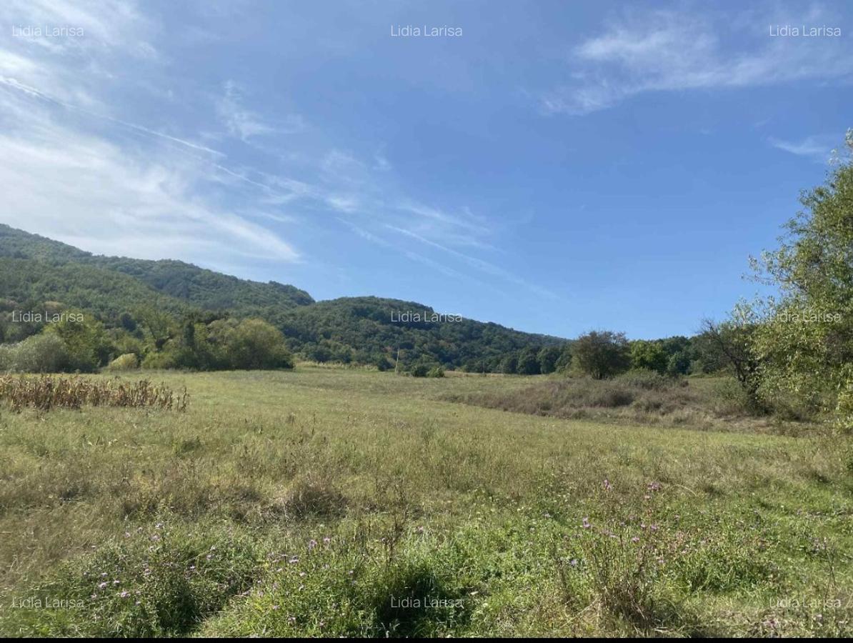 Casa de vanzare+teren - 6