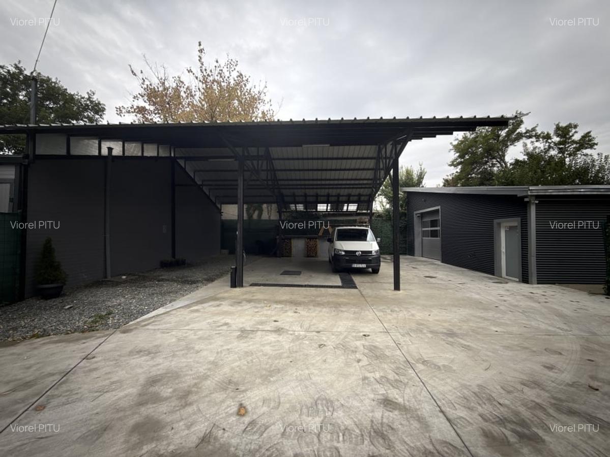 Hala Damaroaia + Curte / De Inchiriat - 11