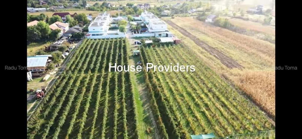 Teren Snagov Izvorani, loturi 500 - 1000Mp - 2