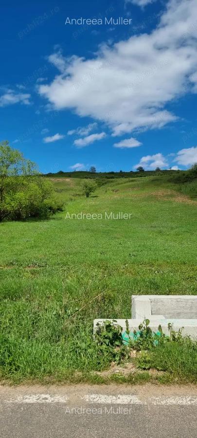 Teren zona com. Sanpaul, jud. Cluj - 2