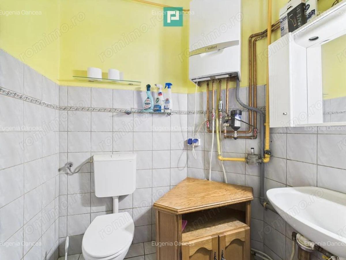 Casa individuala cu teren, Andrei ?aguna -Traian - 10