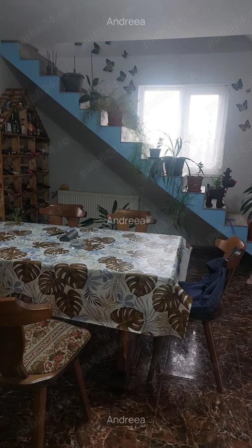 Casa de vanzare in Topolovat Mare - 6
