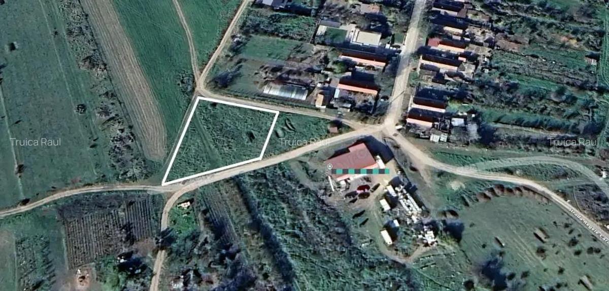Giarmata - teren intravilan constructie casa - cu utilitati in apropiere - 2
