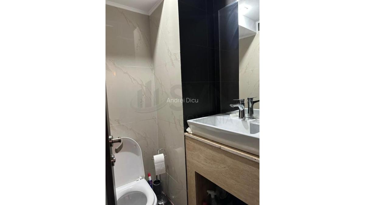 REA1025024 Apartament 2 Camere I De Inchiriat I Herastrau - 10