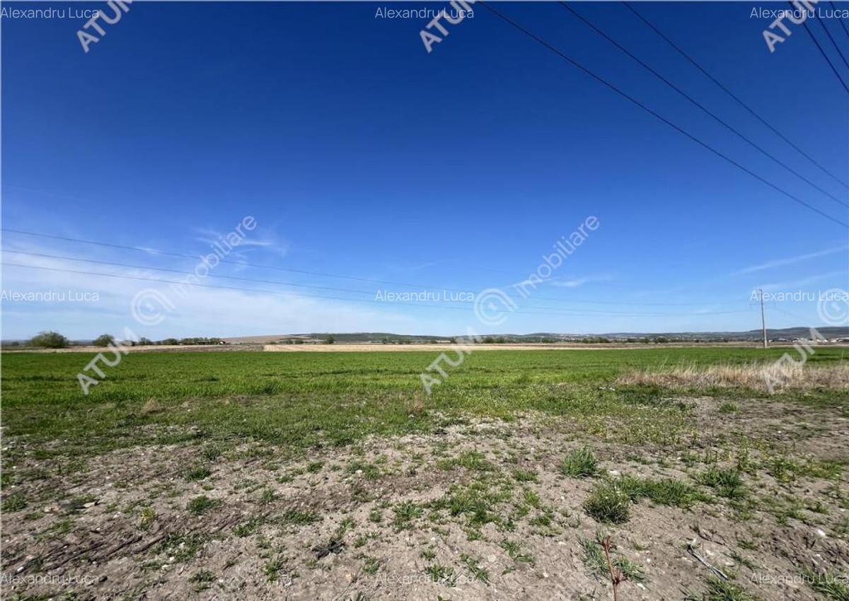 Teren intravilan de 8150 mp situat in Sibiu zona Calea Surii - 1