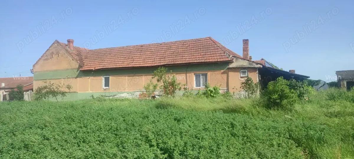 Casa spa?ioasa + 3000mp teren, foraj 120m, zona pitoreasca Balint, Timi? - 9