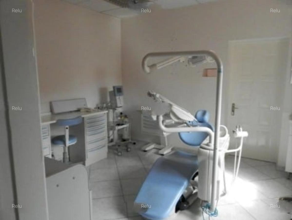 Obor,Mosilor,vila 9camere,320mp,107 teren,D/P/1/M,Amenajata,Libera - 3