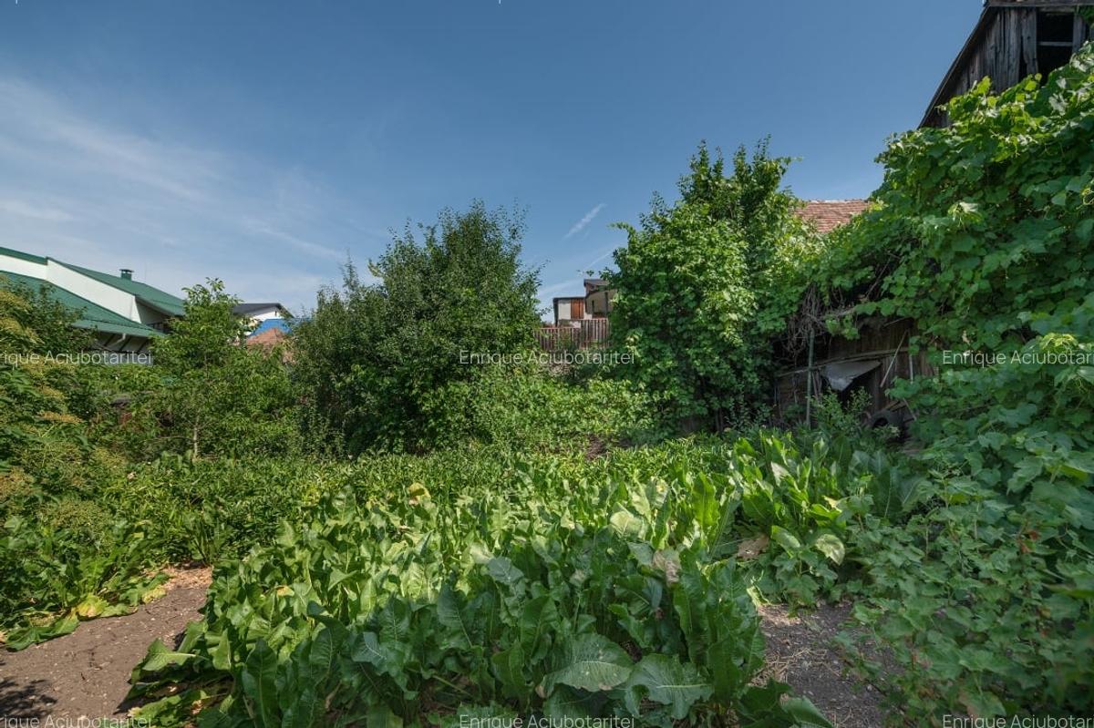 Teren Construcții intravilan de 403 mp, în Dâmbul Rotund - 9