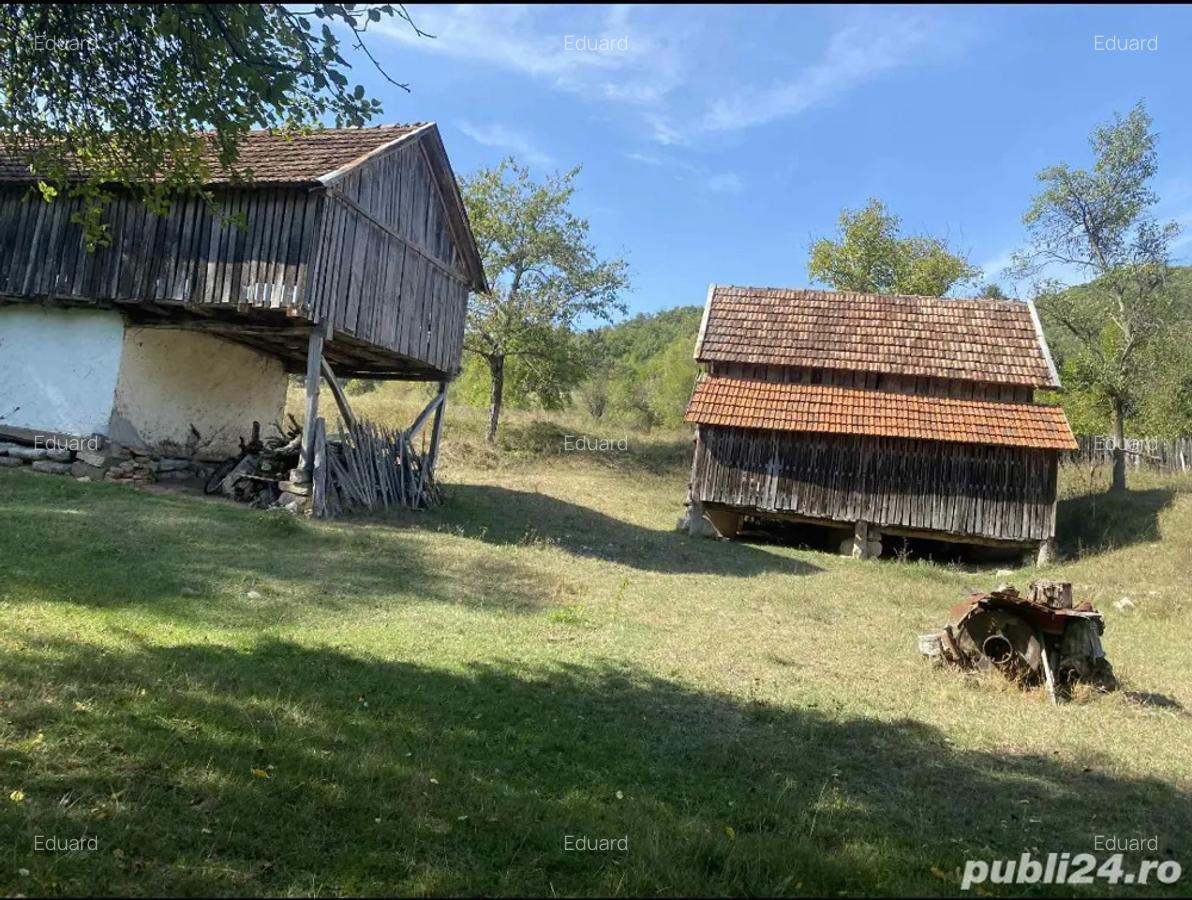 Casa de vanzare+teren - 5