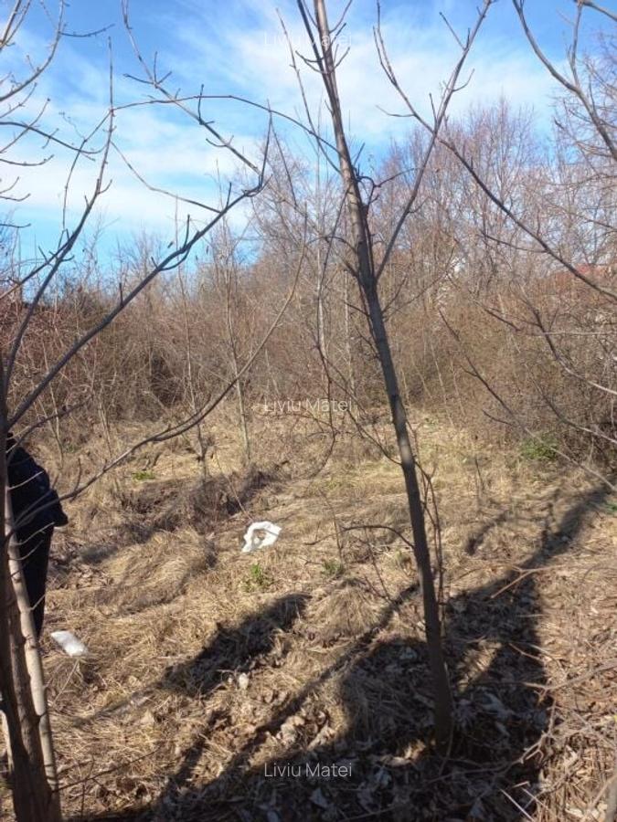 Prelungirea Ghencea-Valea Furcii - 5