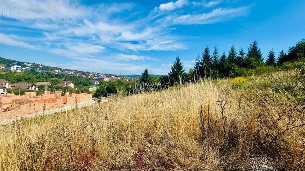 De vanzare teren intravilan 680 mp - Aleea Fagetului - 3