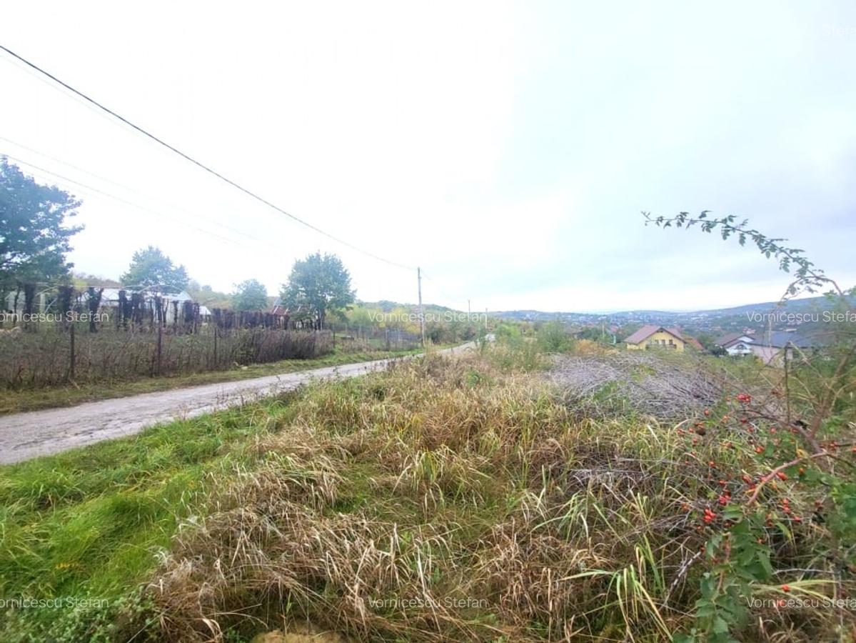 Teren de vanzare Barnova, cu priveliste Vanzare imediata - 2