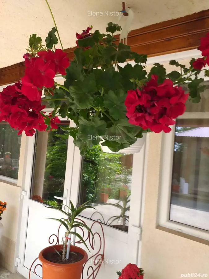 Vind duplex in cordun centru - 4