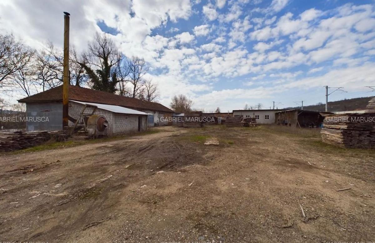 Fabrica prelucrare lemn de vanzare - Lipova, Arad - 12