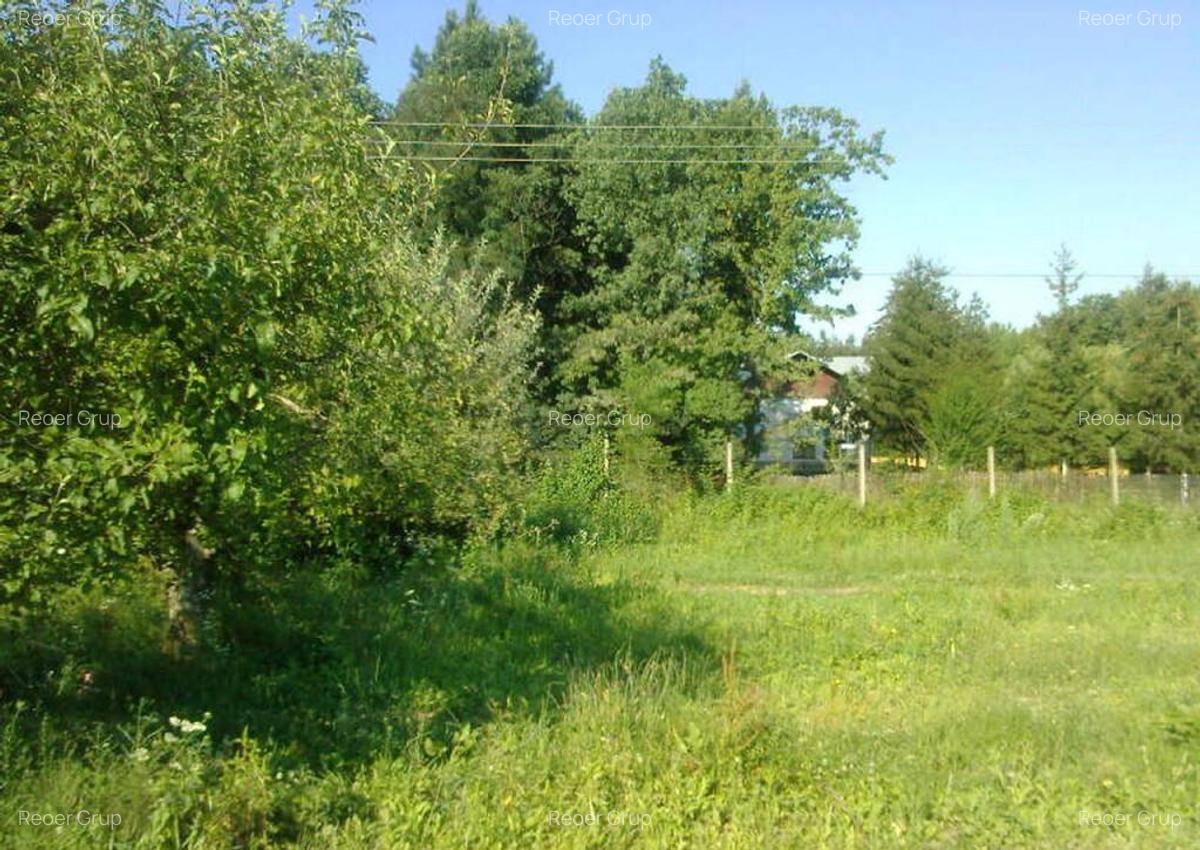 Intravilan 572 mp , loc de casa , zona padure Baicoi Prahova - 3