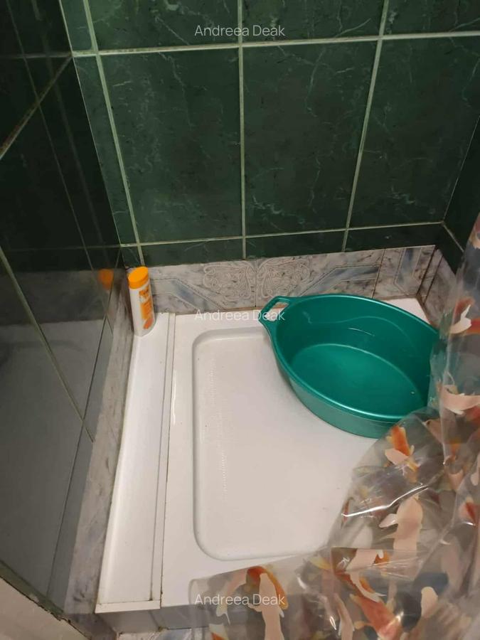 GARSONIERA BINE COMPARTIMENTATA - 9