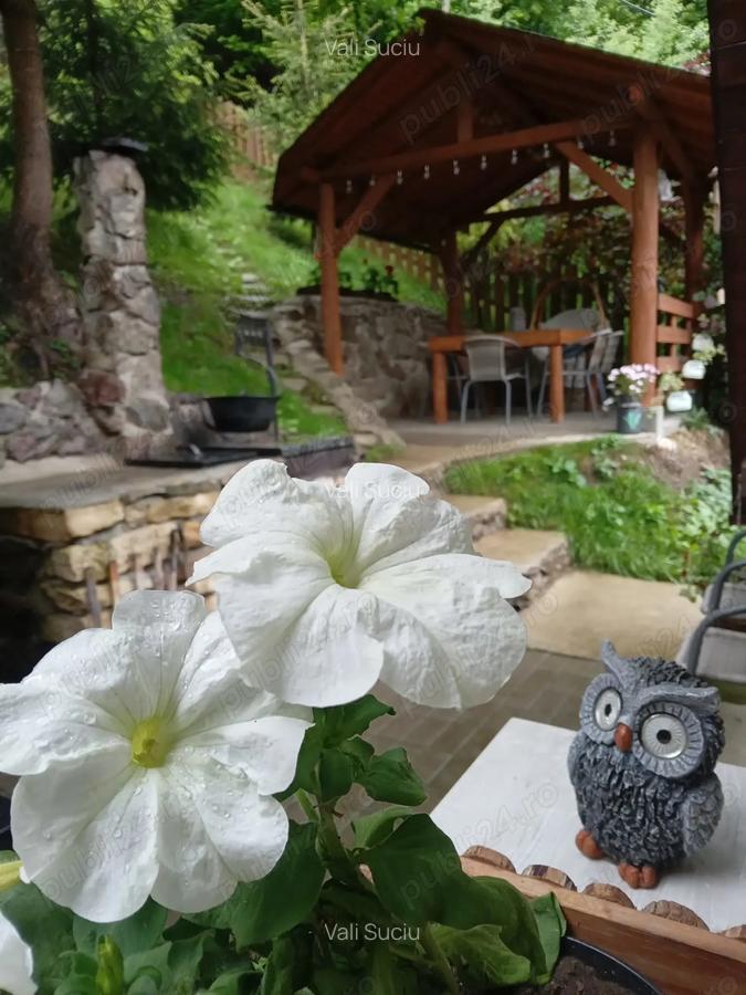 Vand casa de vacan?a la Tarni?a( Coada Lacului ) - 6