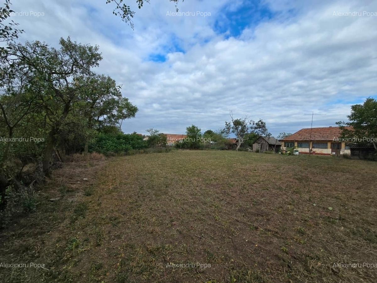 Casa individuala cu teren generos în zona liniștită - 7
