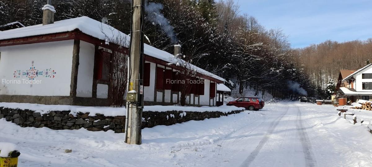 Casa de vacanta Crivaia, langa Valiug -locatie idilica, ideala pentru timp liber - 23