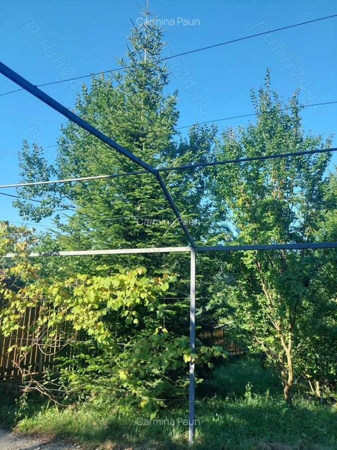 Vand vila jud Prahova com Drajna de Sus - 3