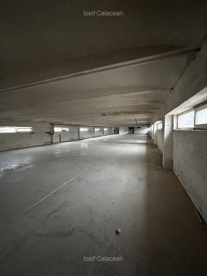 Hala Industriala Gradiste De Inchiriat - 10