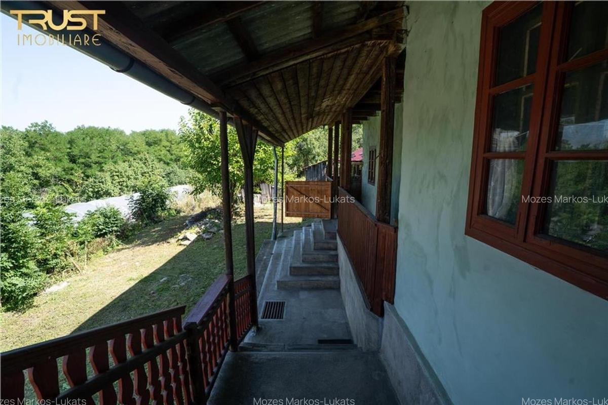 Casa de lemn l Teren 2278 MP l Sancraiu - 2