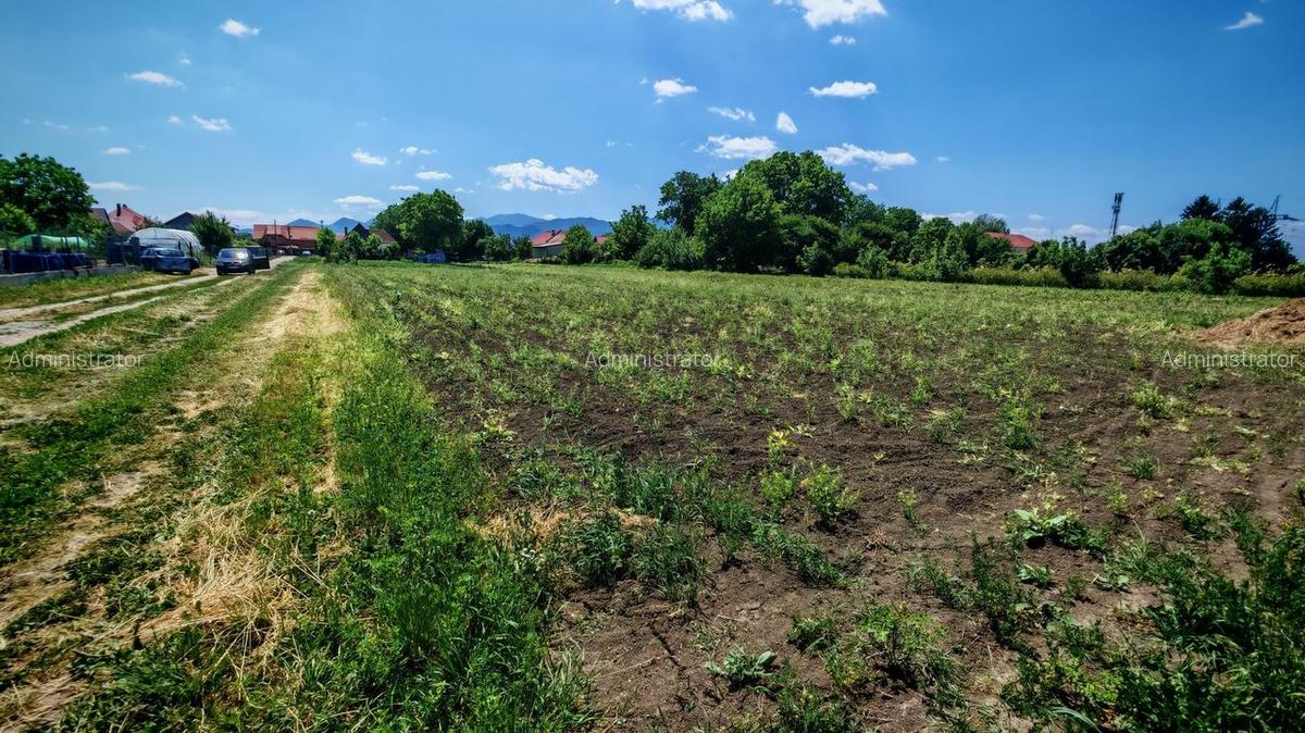 Teren Construcții intravilan de 856 mp, în Stupini - 2