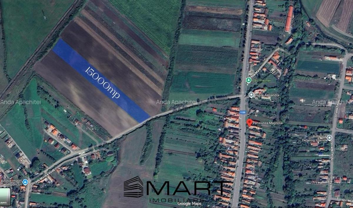 Teren Extravilan 15.000 mp Prejmer - 5