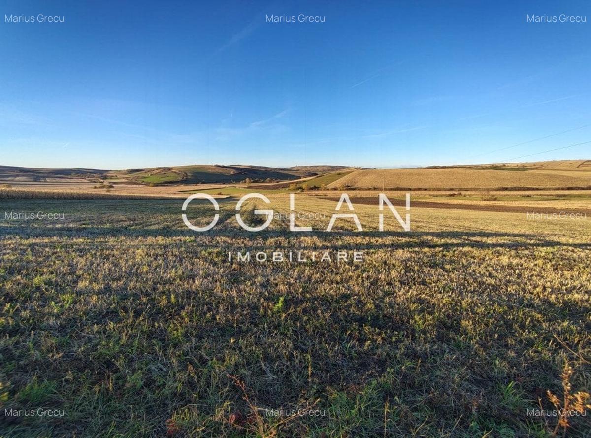 Teren intravilan cu PUZ pentru investitie - 26.100 mp - Sura Mare - 6