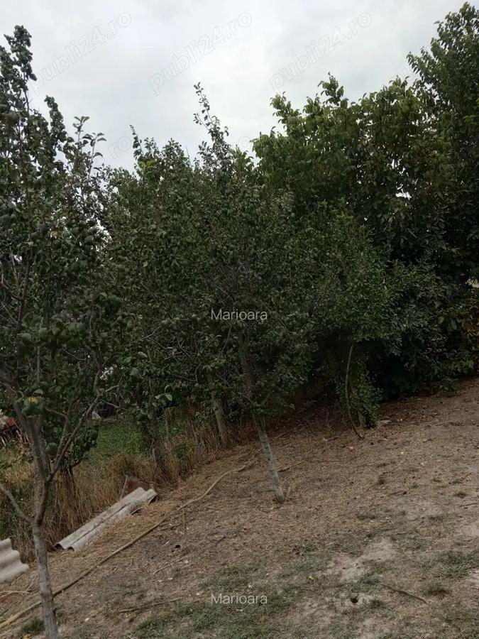 Vand Casa Putineiu Teleorman - 6