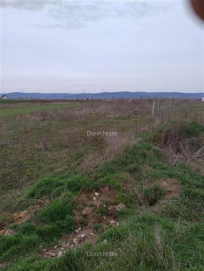 Teren Construcții intravilan de 596 mp, în Cihei - 1
