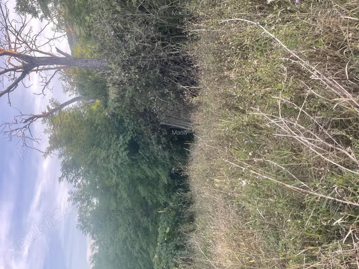 Casa de vinzare la tara - 10